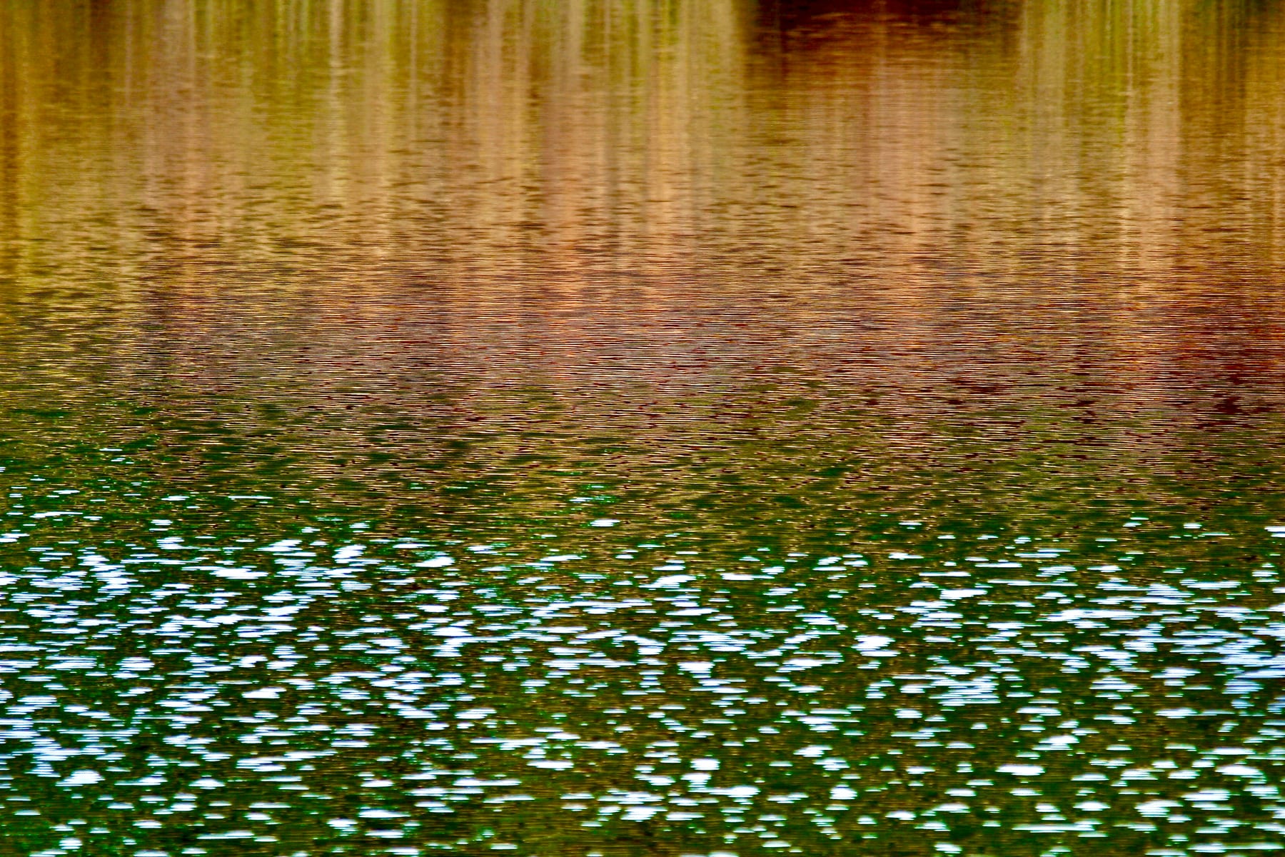SYRiver Gold Fade To Green