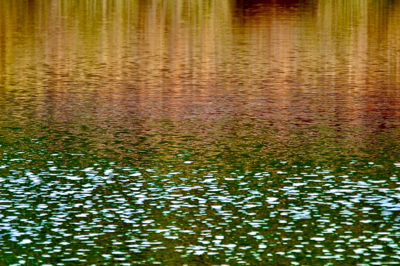 SYRiver Gold Fade To Green