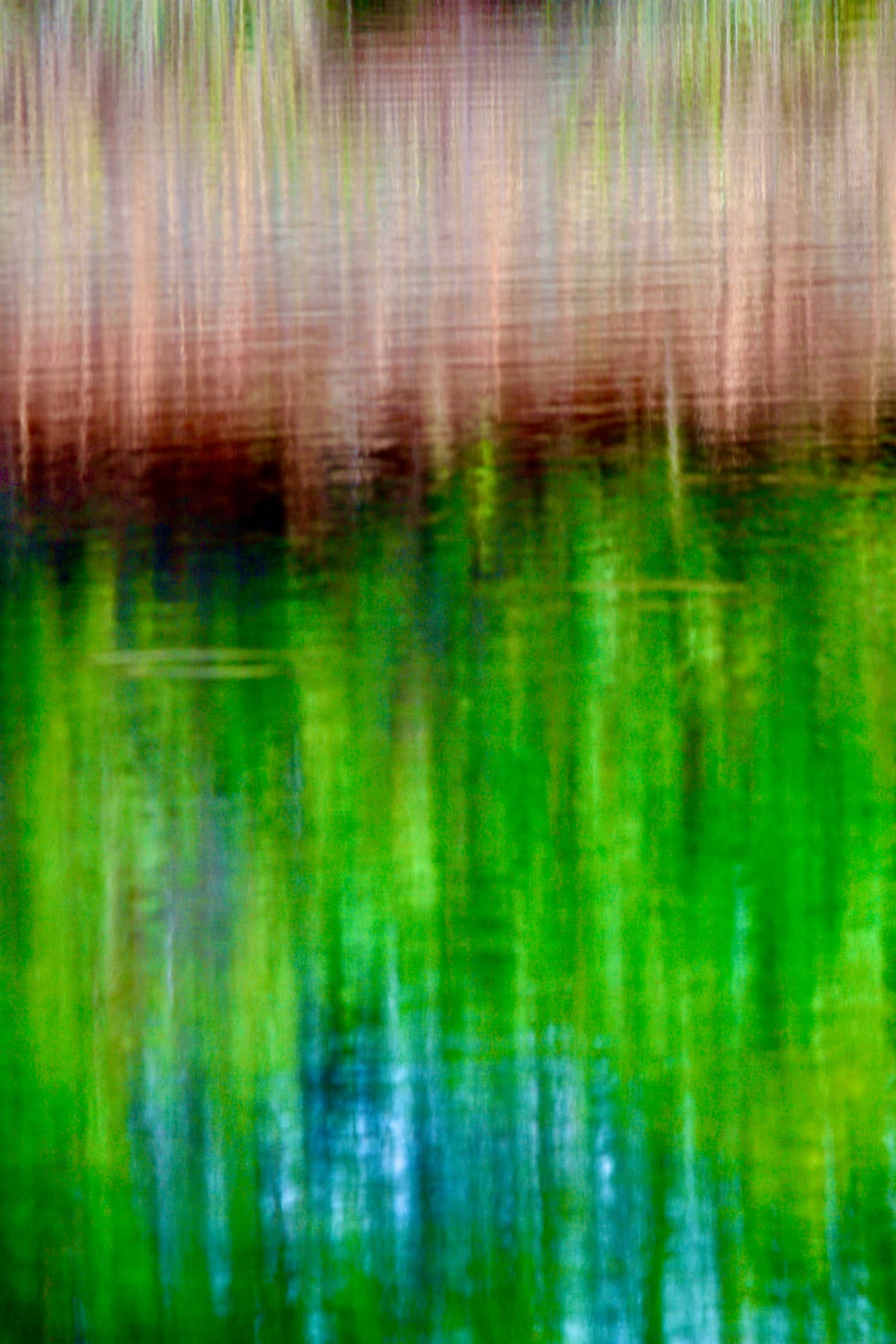 SYRiver Reed Reflec Fish Rise