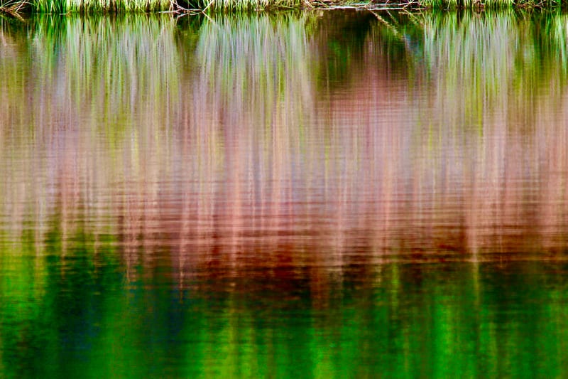 SYRiver Reed Reflect Brwn To Grn