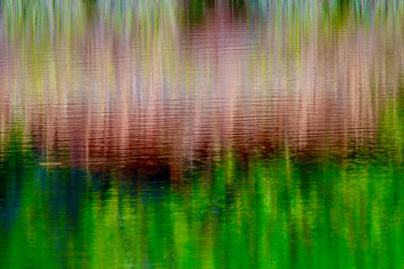 SYRiver Reed Reflection Deep Green