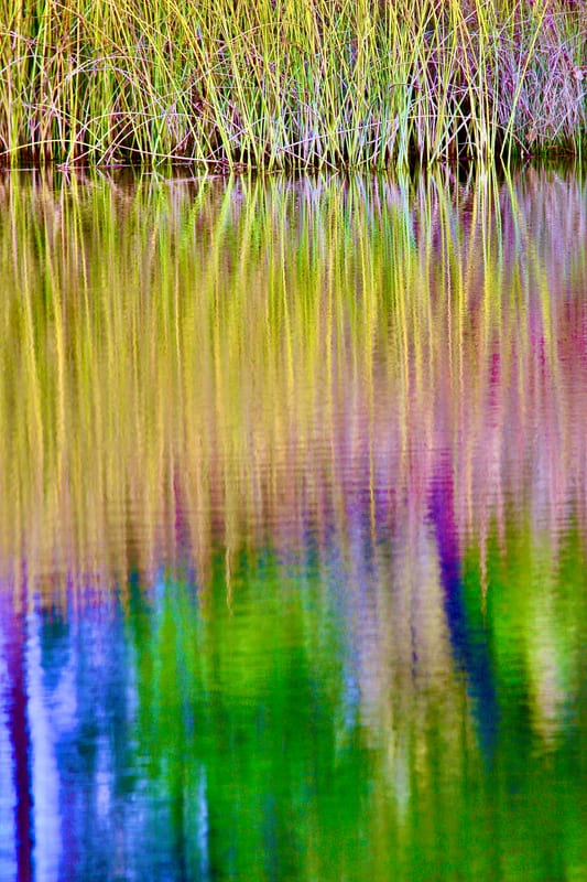 SYRiver Reed Reflection Vert Purp