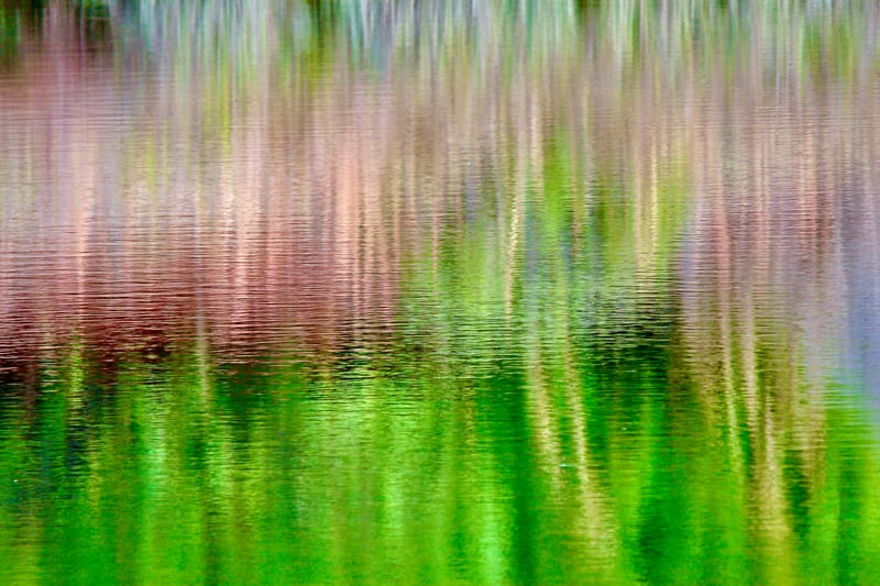 SYRiver Reed Reflection1