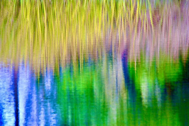 SYRiver Reed Reflections Fave