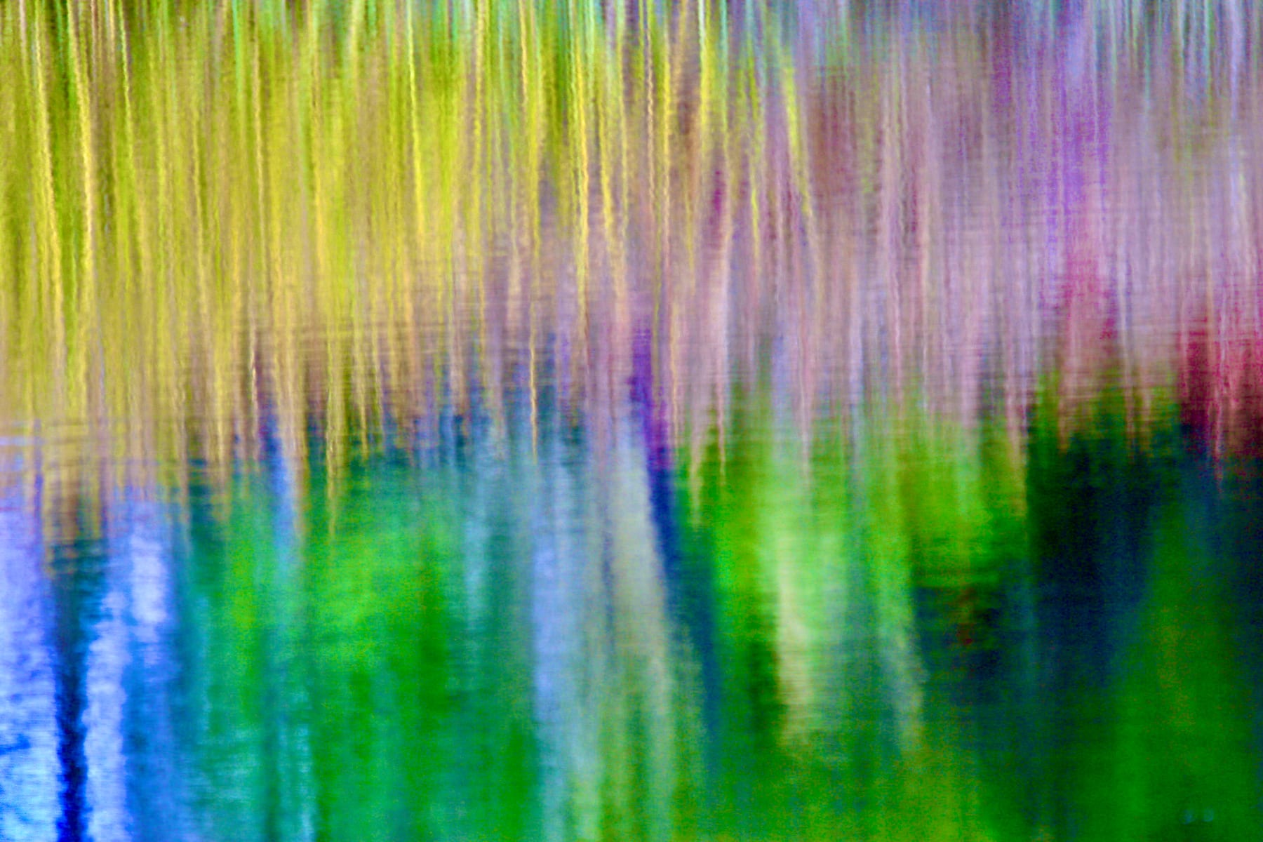 SYRiver Reed Reflections Rainbow Blast