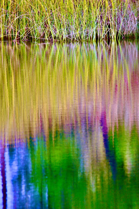 SYRiver Reed Reflections Rainbow