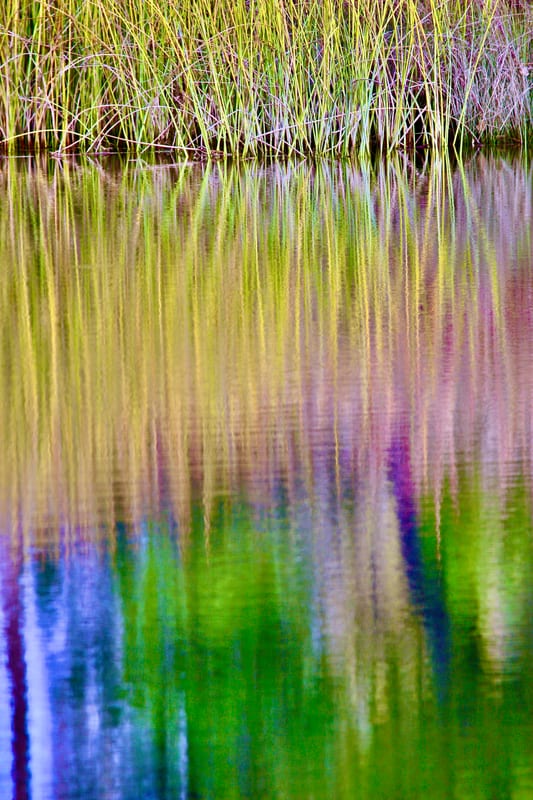 SYRiver Reed Reflections Rainbow2
