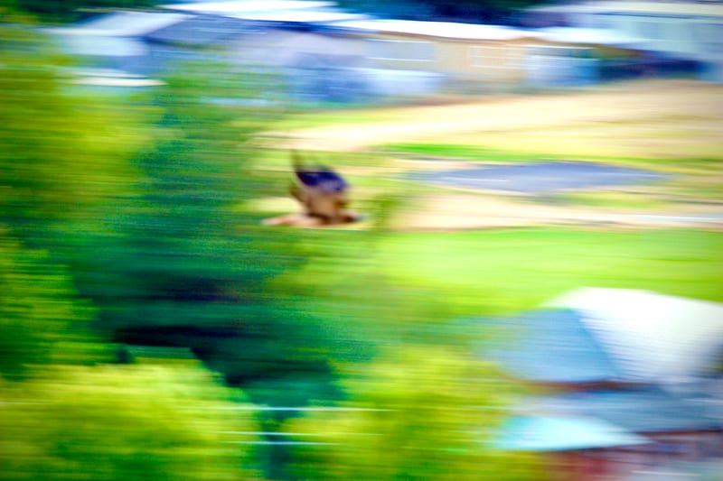 Yellow House